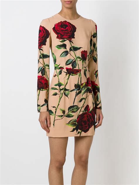 rose dolce gabbana|Dolce & Gabbana rose print dress.